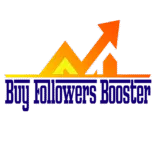 buyfollowersbooster.com